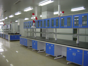 鋼木結構中央實驗臺